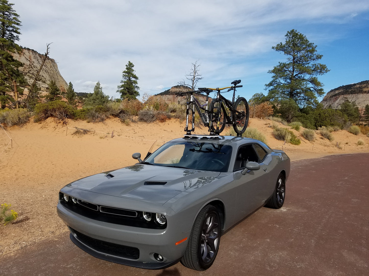 Mini Bomber Rack - 2 Bikes